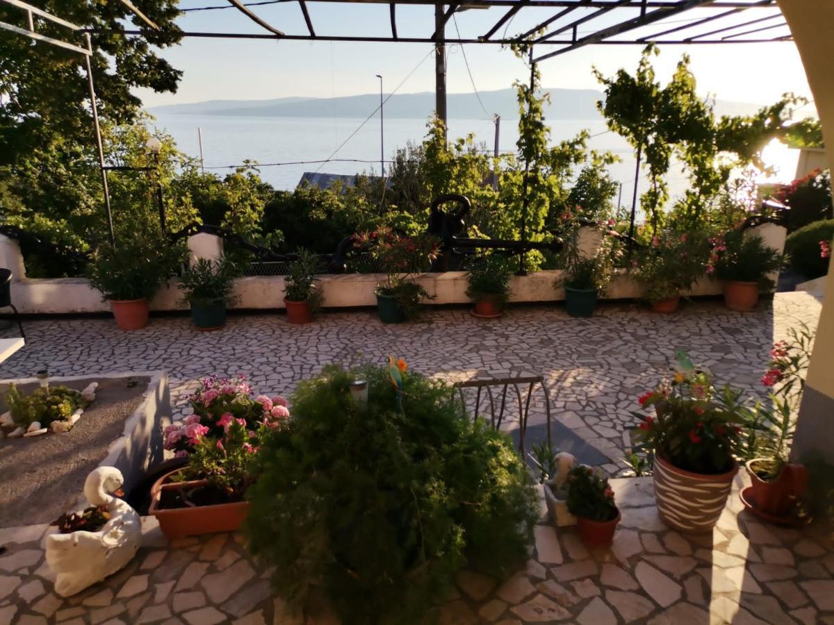 Apartmani Sidro Senj سينج المظهر الخارجي الصورة